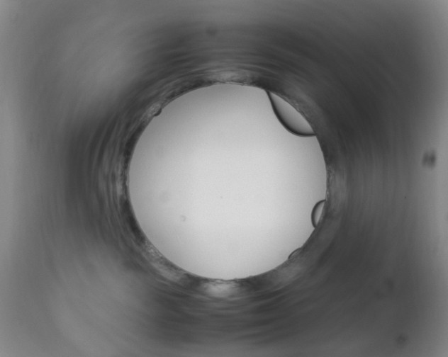 X0000112850189200908211039