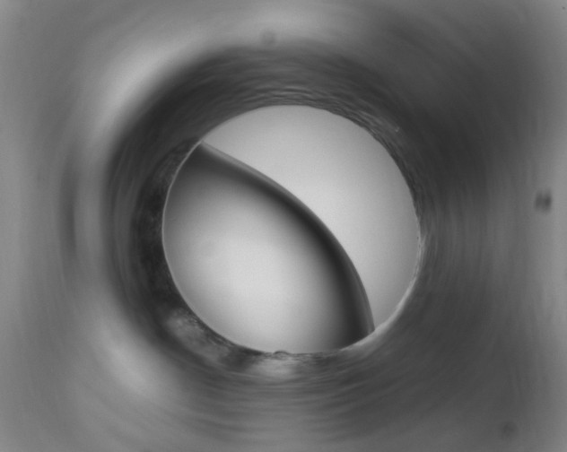 X0000112850190200908211039