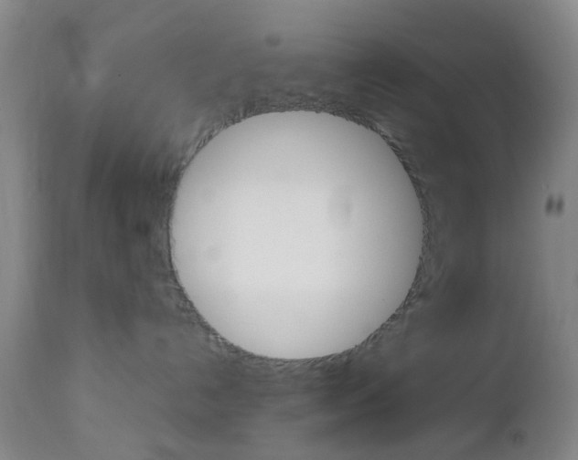 X0000112850192200908211039
