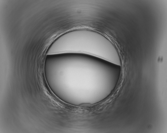 X0000112850193200908211039