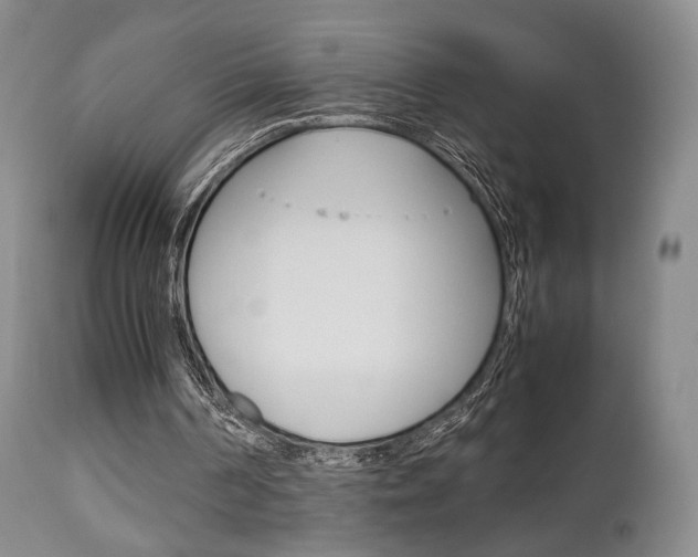X0000112850194200908211039