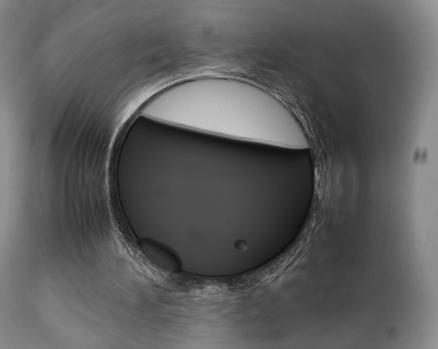X0000112850196200908211039