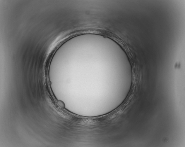 X0000112850198200908211039