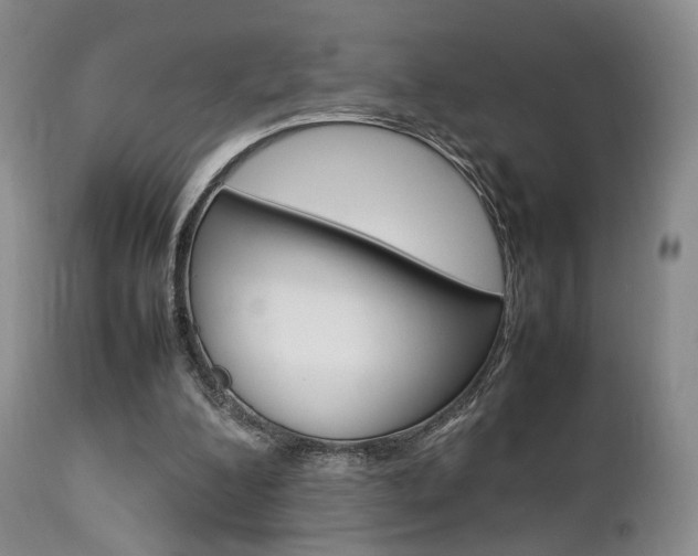 X0000112850200200908211039