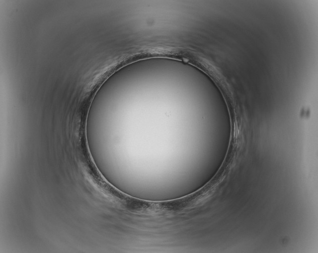 X0000112850201200908211039