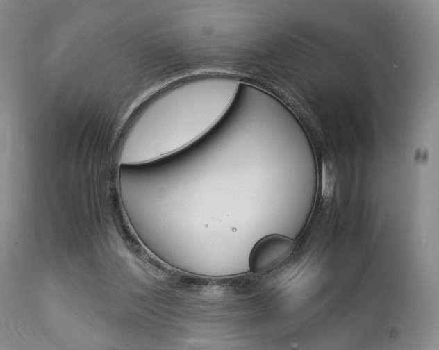 X0000112850204200908211039