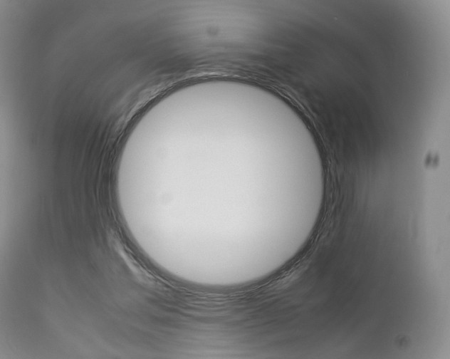 X0000112850205200908211039