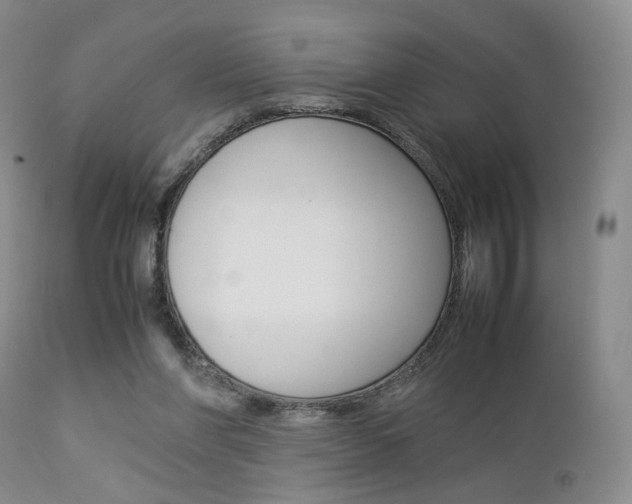 X0000112850206200908211039