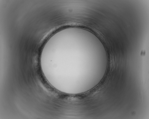 X0000112850208200908211038