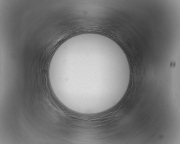 X0000112850211200908211038