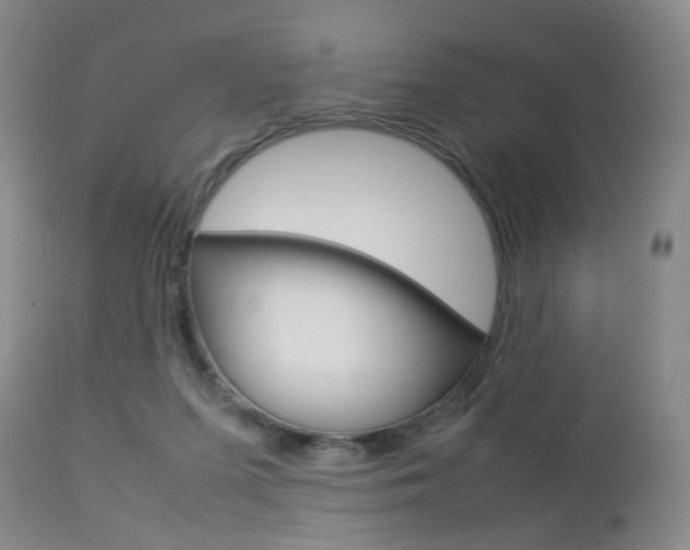 X0000112850215200908211038