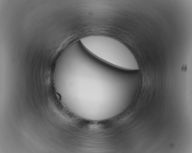 X0000112850216200908211038