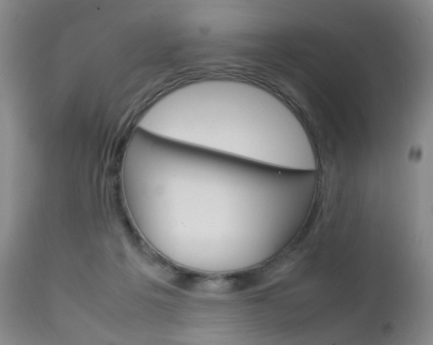 X0000112850217200908211038