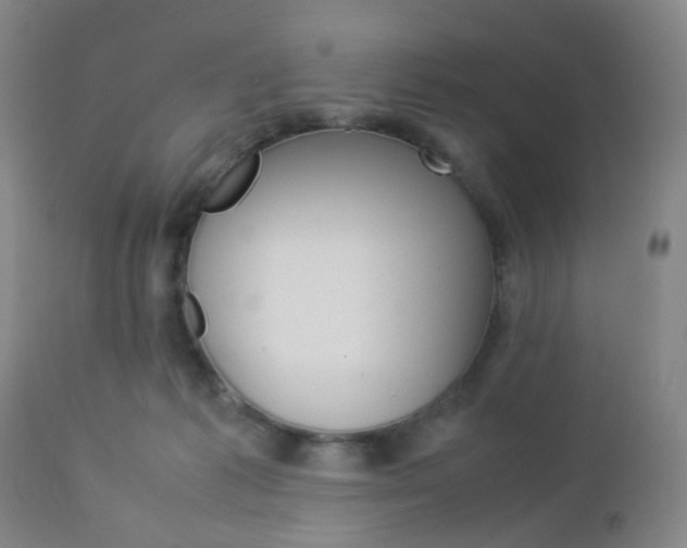 X0000112850221200908211038