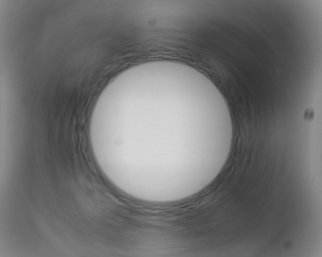 X0000112850223200908211038