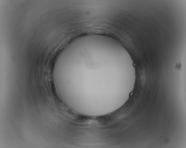 X0000112850224200908211038