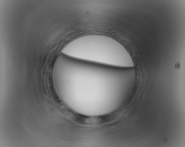 X0000112850225200908211038