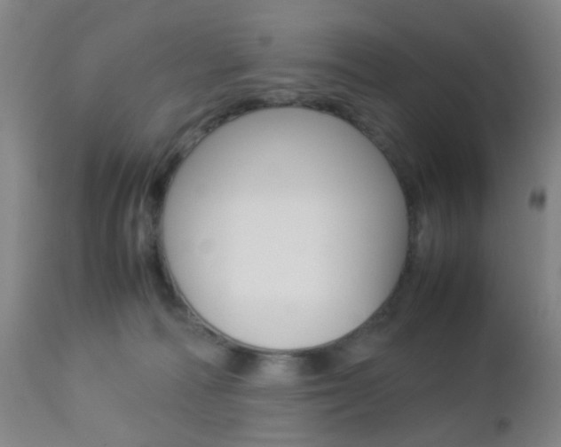 X0000112850226200908211038