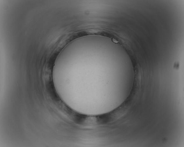 X0000112850227200908211038