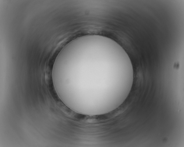 X0000112850228200908211038