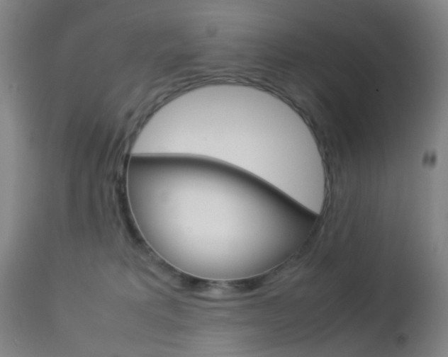 X0000112850229200908211038
