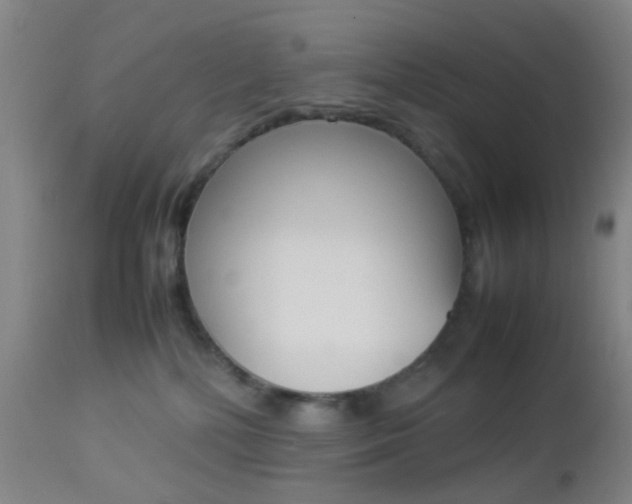 X0000112850232200908211038