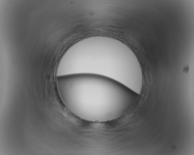 X0000112850233200908211038