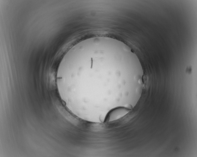 X0000112850238200908211038