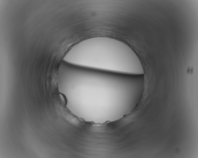X0000112850240200908211038