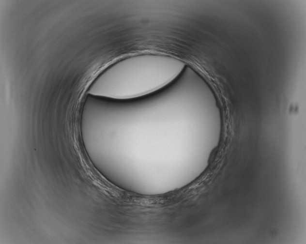 X0000112850241200908211037