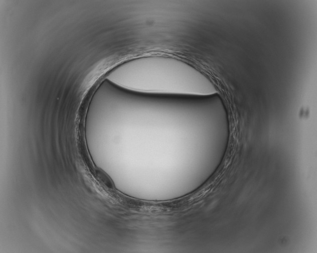 X0000112850242200908211037