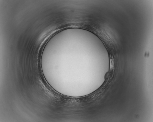 X0000112850243200908211037