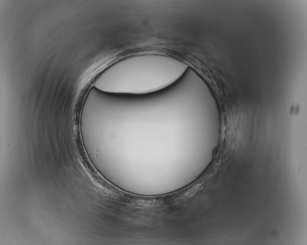 X0000112850245200908211037