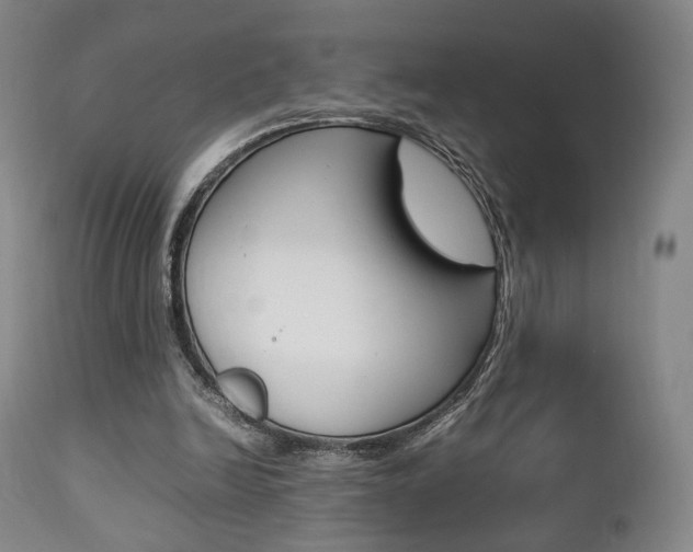 X0000112850246200908211037