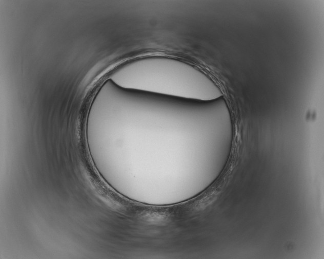 X0000112850247200908211037