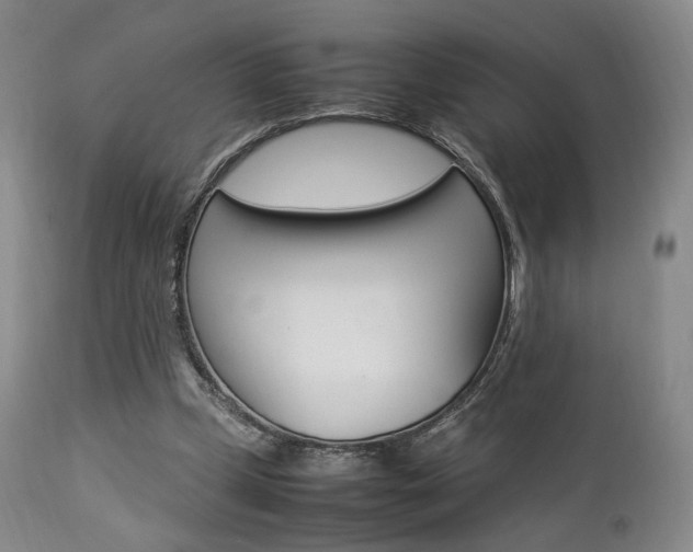 X0000112850249200908211037