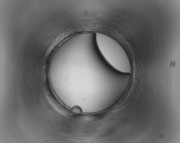 X0000112850250200908211037