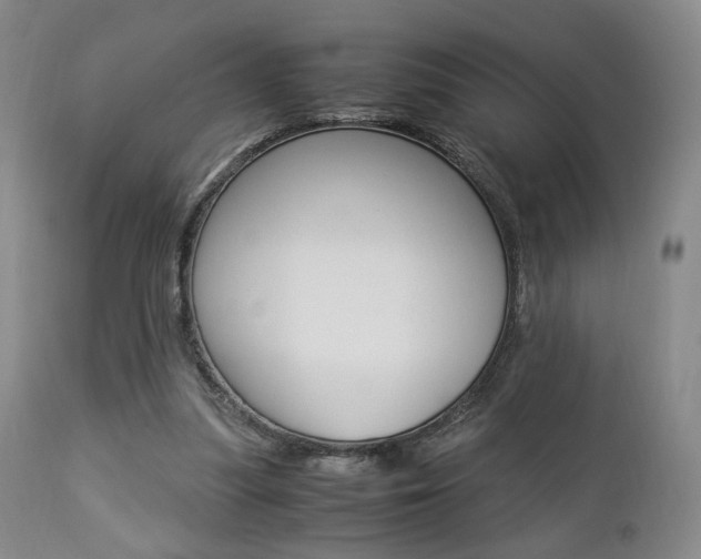 X0000112850251200908211037