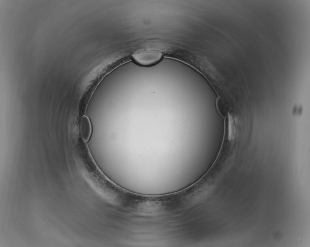 X0000112850252200908211037