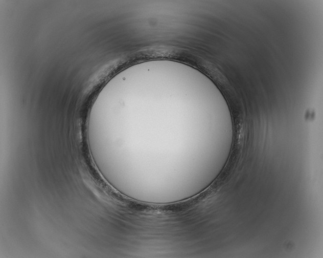 X0000112850254200908211037