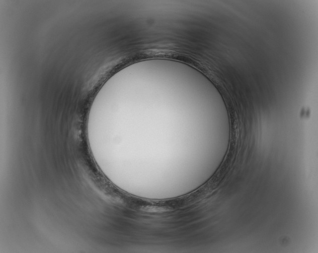 X0000112850255200908211037