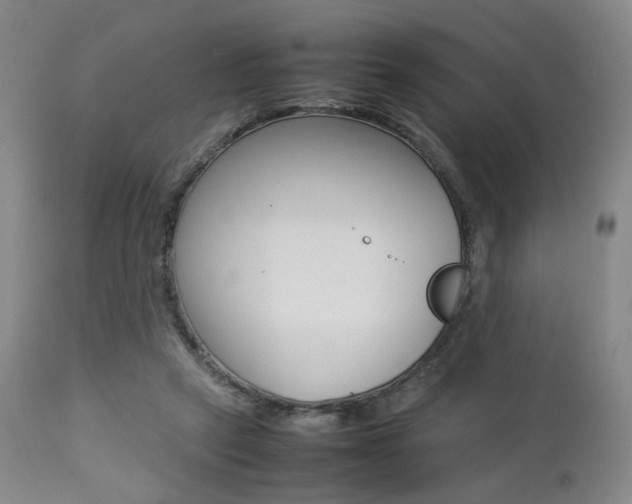 X0000112850257200908211037