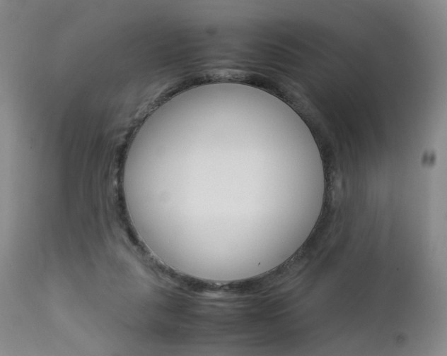 X0000112850259200908211037