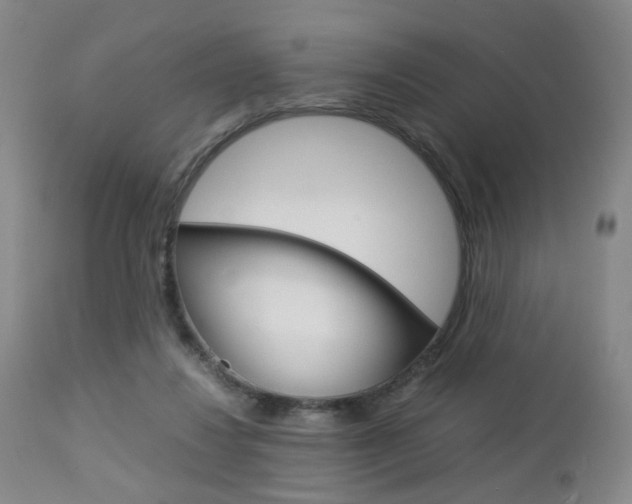 X0000112850260200908211037