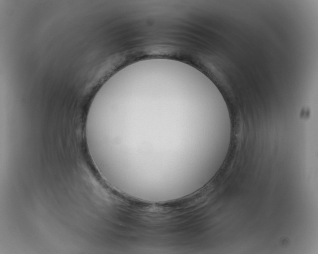 X0000112850261200908211037
