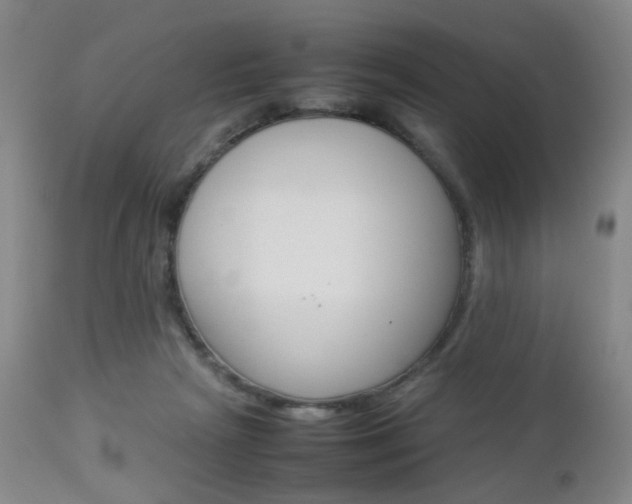 X0000112850265200908211038