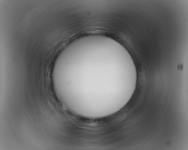 X0000112850267200908211038