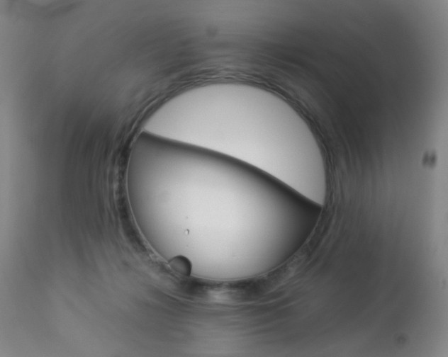 X0000112850268200908211038