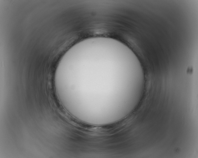 X0000112850269200908211038
