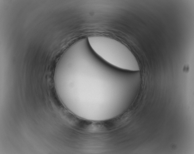 X0000112850270200908211038